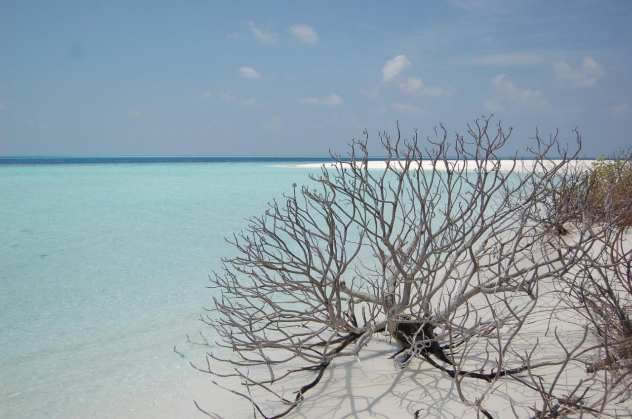 Konukevi Crystal Sands 3*